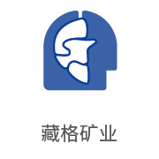 pg电子游戏合作伙伴：藏格矿业