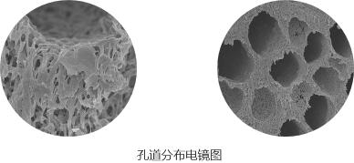 孔道分布电镜图 pg电子游戏(试玩)官方网站-APP下载